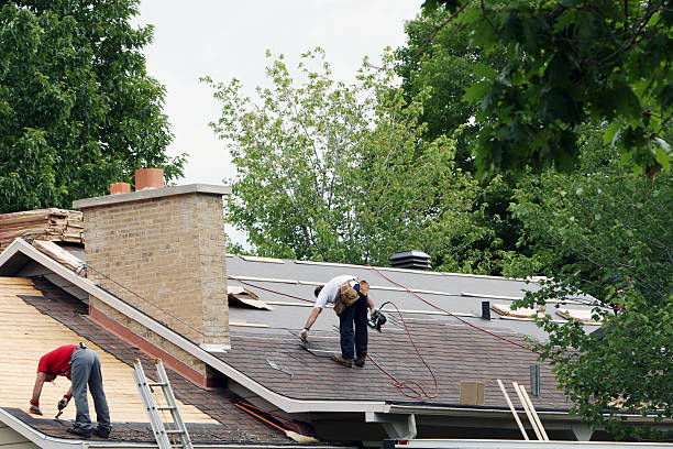 Best Gutter Installation and Roofing  in Dresden, TN