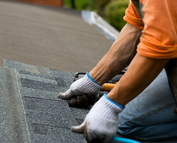 Best Local Roofing Companies  in Dresden, TN